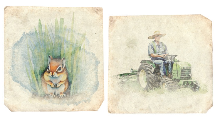 Custom squirrel and farmer watercolor illustrations on distressed parchment paper
