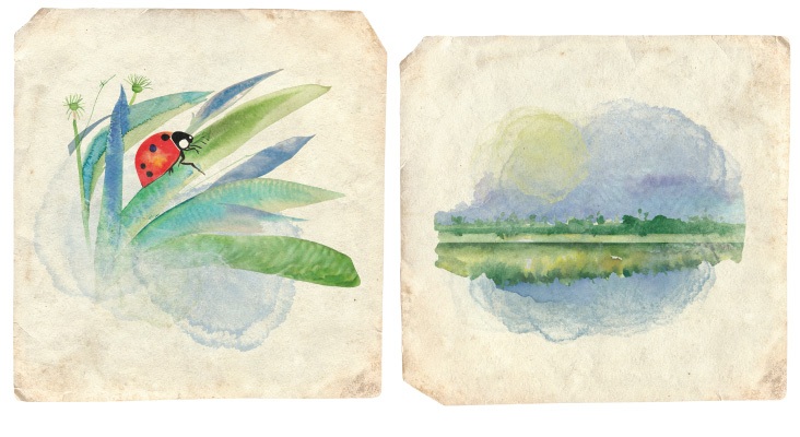 Custom ladybug and landscape watercolor illustrations on distressed parchment paper