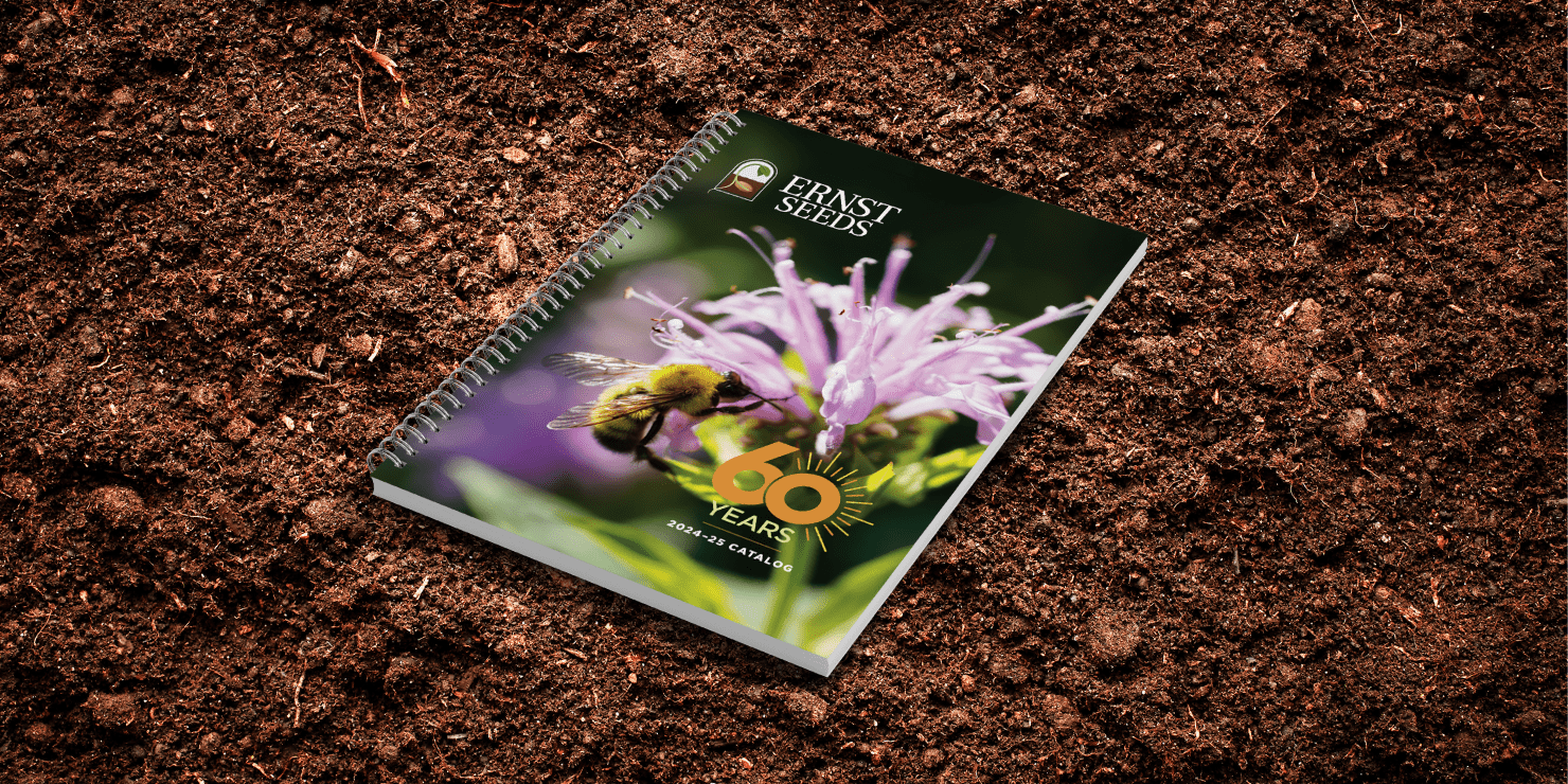 Ernst Seeds catalog on dirt background.