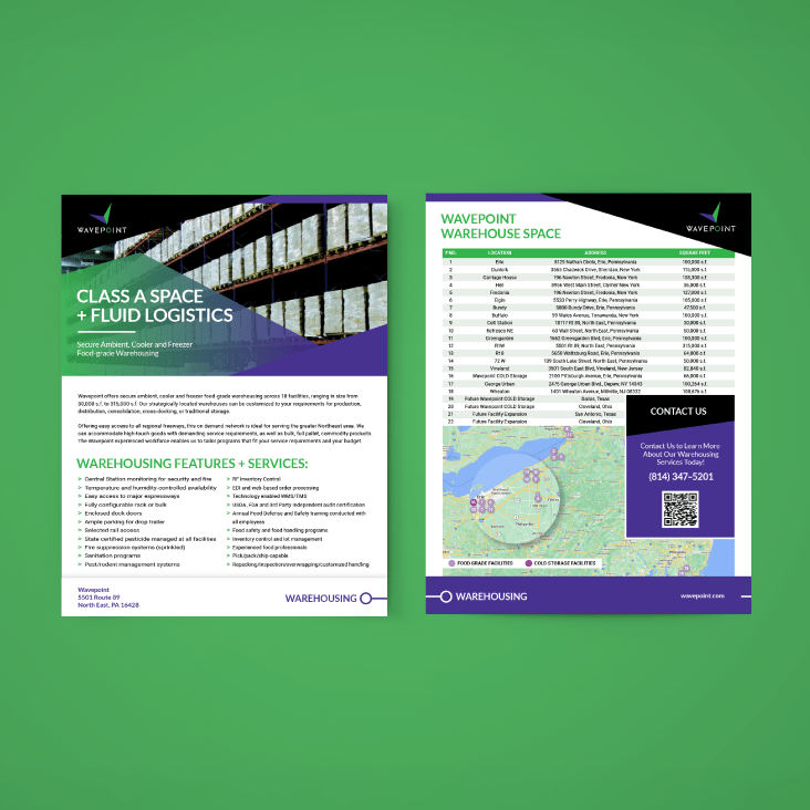 Front and back view of a one page flyer against a green background.